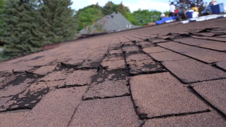 Best Gutter Installation and Repair  in Eagleville, PA