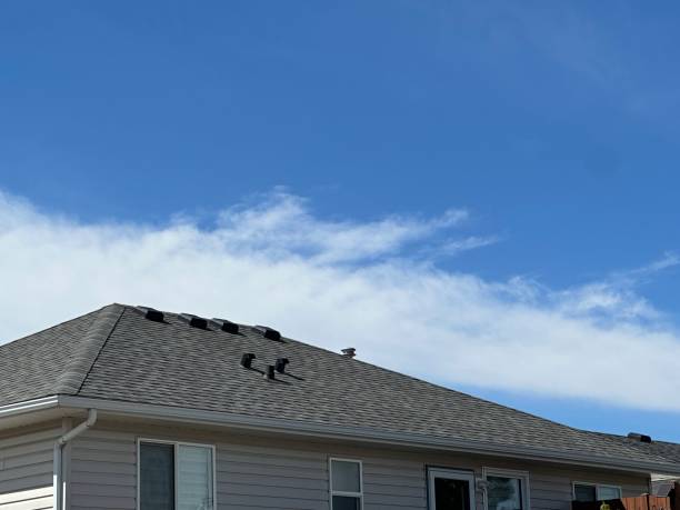 Best Steel Roofing  in Eagleville, PA