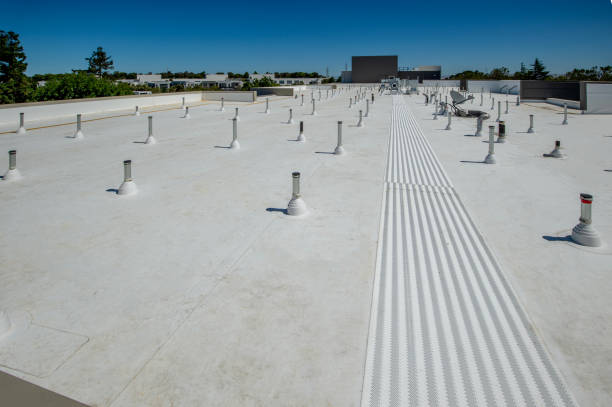 Best Roof Maintenance and Cleaning  in Eagleville, PA